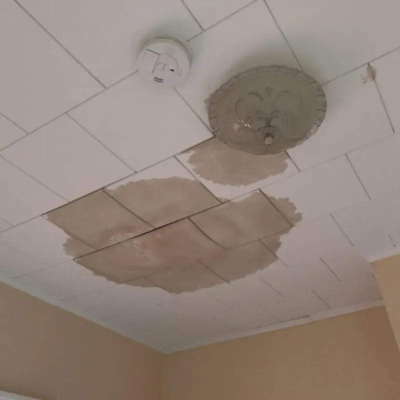 Ceiling Water Damage Repair in Eldorado, WI