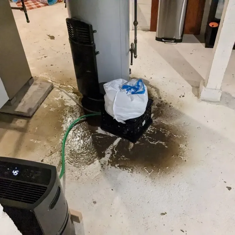Sewage Backup Cleanup Service in Eldorado, WI